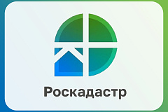 Более 5 тысяч «забытых» документов выдано москвичам  в 2025 году